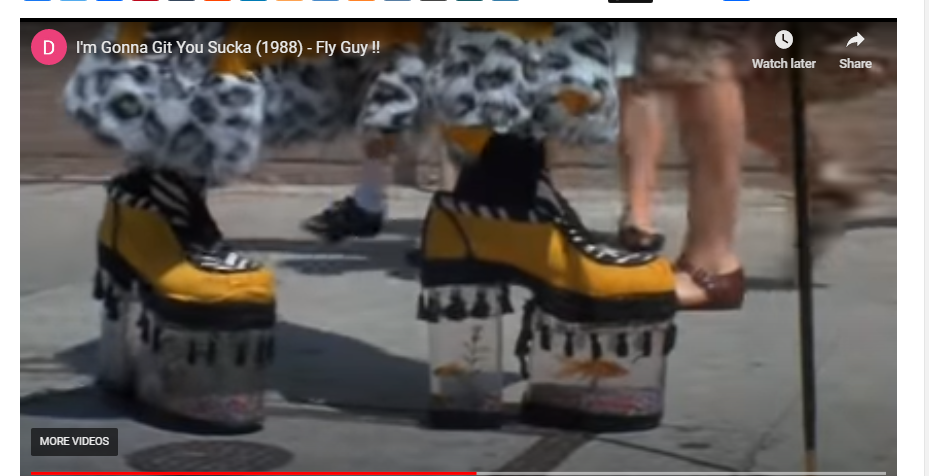fish shoes image