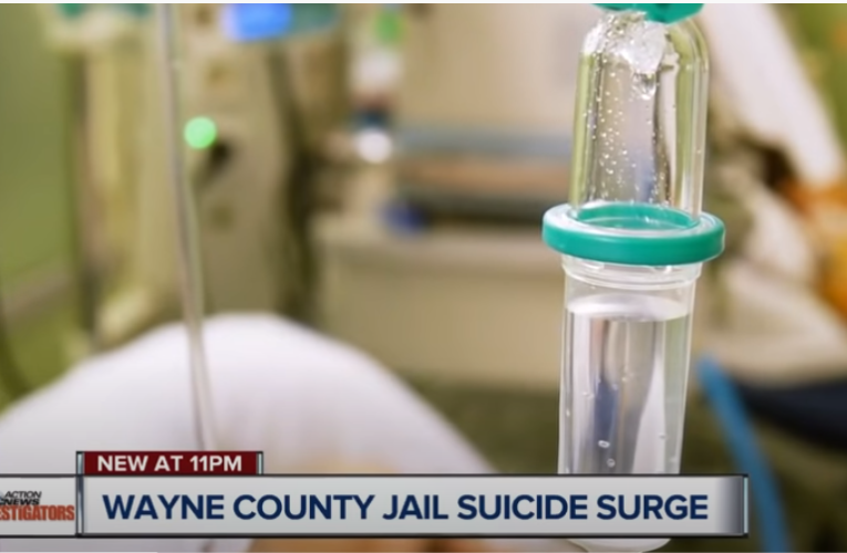 wayne county jail mass suicides